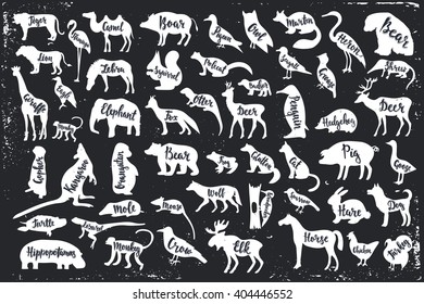 Wild animals isolated silhouettes with lettering: bear, frog, pig, wolf, mole, mouse, woodpecker, mouse, crow, elk, tiger, camel, flamingo, lion, zebra, eagle, giraffe, monkey, elephant. Vector