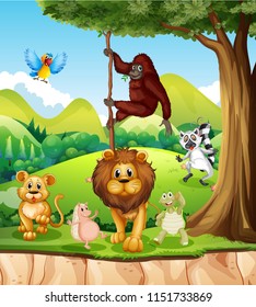 Wild animals in the jungle illustration