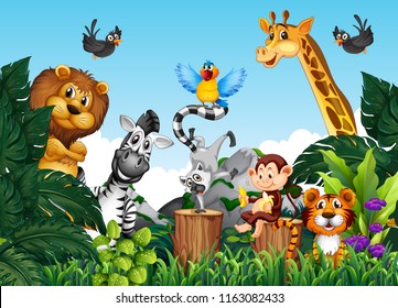 Wild animals in the jungle illustration
