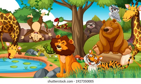 Wild animals in the jungle illustration