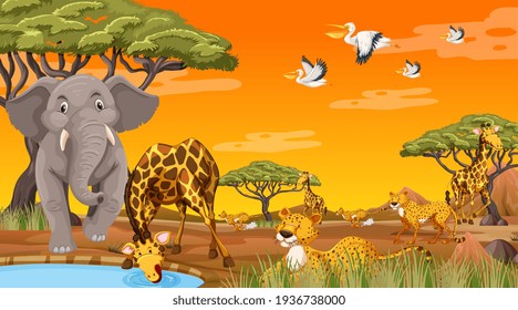 Wild animals in the jungle illustration