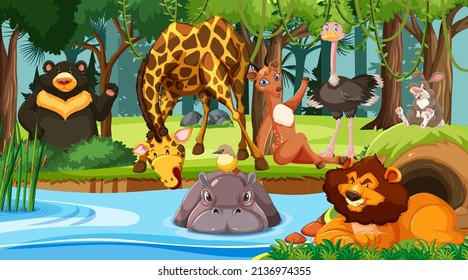 Wild animals in the jungle illustration