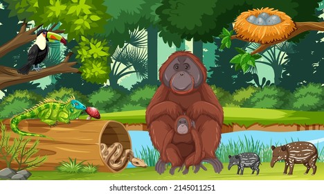 Wild animals in the jungle illustration