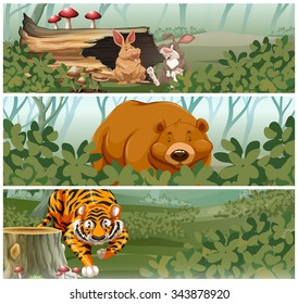 Wild animals in the jungle illustration