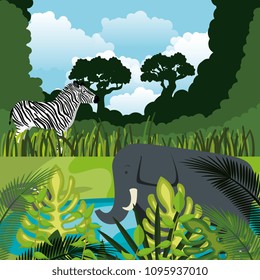 wild animals in the jungle scene