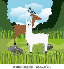wild animals in the jungle scene
