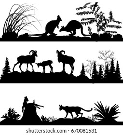 wild animals Kangaroos, sheep, wild cats