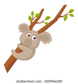 Wild animals. Koala Wildlife Vector