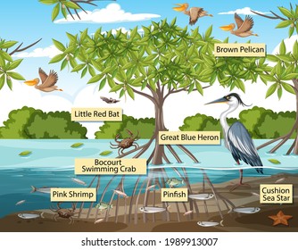 2,937 Tree name label Images, Stock Photos & Vectors | Shutterstock