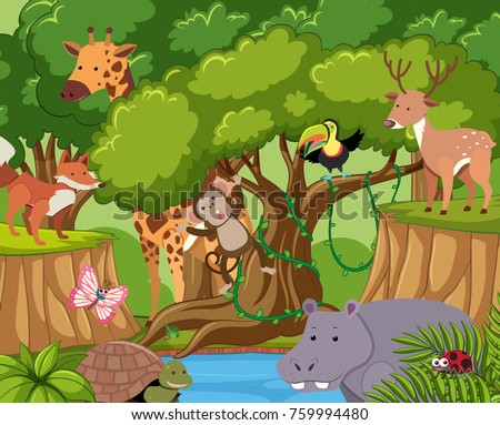 Wild Animals Live Forest Illustration Stock Vector (Royalty Free