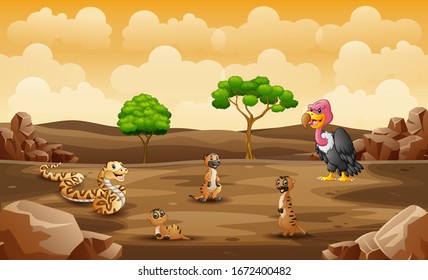 Wild animals living in a dry land