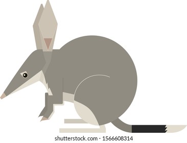 Wild animals Macrotis Vector illustration Bilby Isolated object set