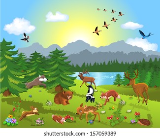 wild animals in the meadow