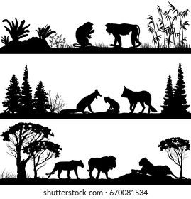 wild animals Monkeys, foxes, lions