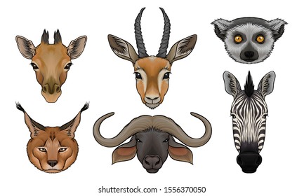 Wild Animals Muzzles Vector Set. Highly Detailed Neb Collection