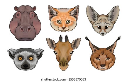 Wild Animals Muzzles Vector Set. Highly Detailed Neb Collection