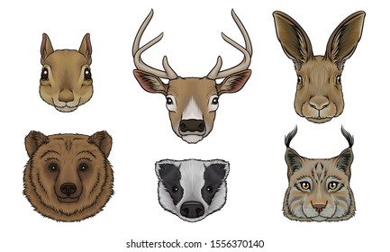 Wild Animals Muzzles Vector Set. Highly Detailed Neb Collection