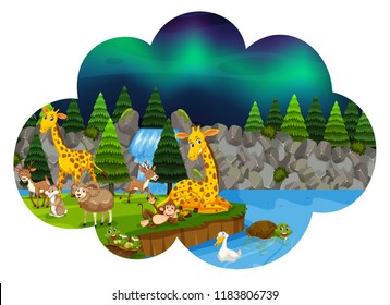 Wild animals at night illustration
