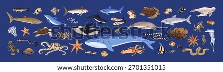 Wild animals of the ocean set. Sea life, underwater fauna, undersea wildlife. Different seabed creatures: fish, dolphin, shark, turtle, whale, narwhal, squid. Flat isolated vector illustrations