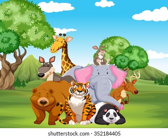 Wild animals on the field illustration