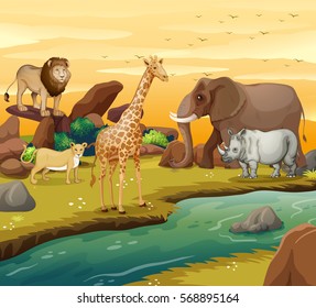 Wild animals on the river bank illustration