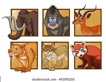 Wild animals on square frame illustration
