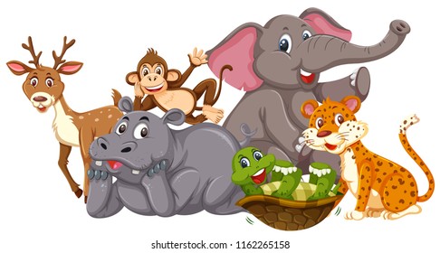 Wild animals on white background illustration