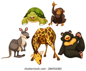 Wild animals on a white background