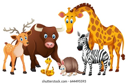 Animales salvajes en la ilustración de fondo blanco