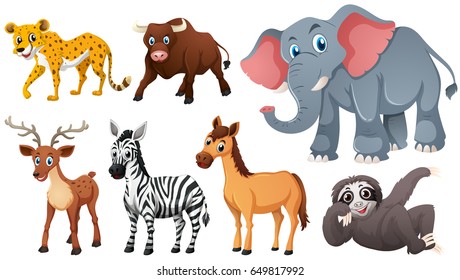 Wild animals on white background illustration