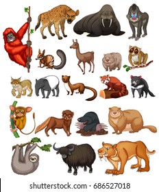 Wild animals on white background illustration