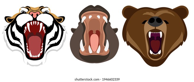 Wild animals with open mouth. Tiger, hippo and bear. Animals in cartoon style. Label, Design Logo, Vector Clipart. Vector illustration isolate. Print for T-shirts and sweatshir