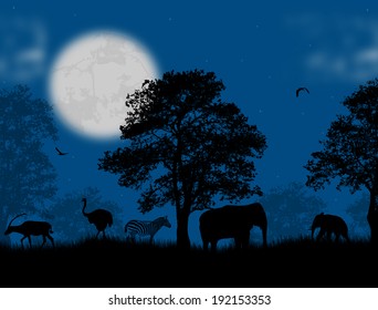 Wild animals over blue sunset, vector illustration