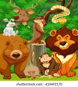 Wild animals in the park illustration