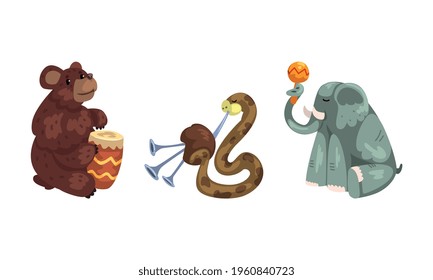 Wild Animals Playing Musical Instruments Set, Bear, Snake, Elephant Playing Drum, Bagpipes, Maracas Cartoon Vector Illustration