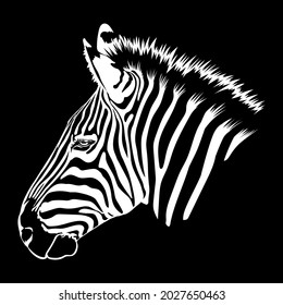 Wild animals of the prairie, zebra head on a black background. Drawing for t-shirt