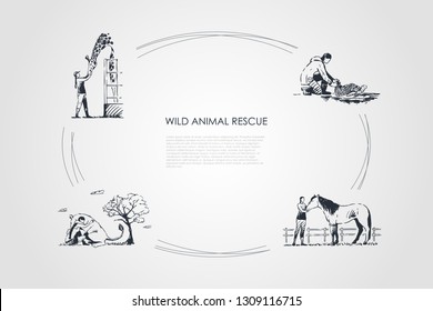 Wild Animals Rescue - People Taking Care Of Giraffe, Horse, Kangaroo, Turtle Vector Concept Set. Hand Drawn Sketch Isolated Illustration