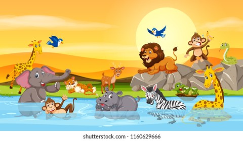 Wild animals at the river sunset illustration