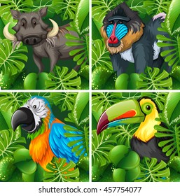 Wild animals in the safari illustration