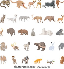 Wild Animals Set