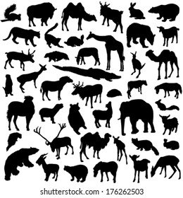 Wild animals set