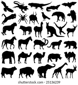 wild animals set