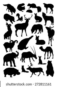 Wild animals set
