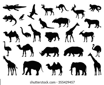 Wild animals set