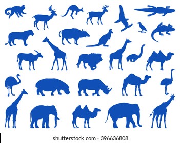 Wild Animals Set