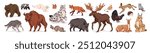 Wild animals set. Different forest wildlife: bear, bison, wolf, boar, fox, lynx. Various woodland fauna of Europa: deer, owl, squirrel, hare. Flat isolated vector illustrations on white background