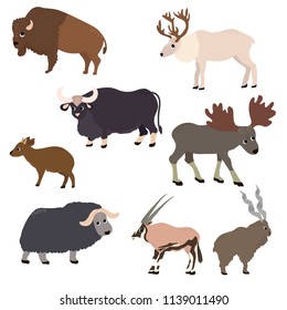 Wild animals set in flat style. Antelope, deer, bison, musk ox, goat, elk, bull, isolated on white. Vector Illustration