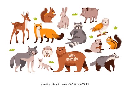 Wild animals set. Forest animals. Woodland inhabitants. Minimalist flat style illustration