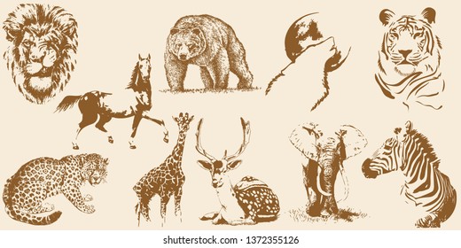 Wild animals set. Hand drawn vector collection. Isolated on a transparent background