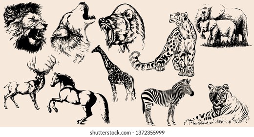 Wild animals set. Hand drawn vector collection. Isolated on a transparent background